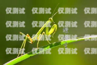 揭示螳螂外呼系統(tǒng)刷時(shí)常的秘密螳螂外呼系統(tǒng)價(jià)格