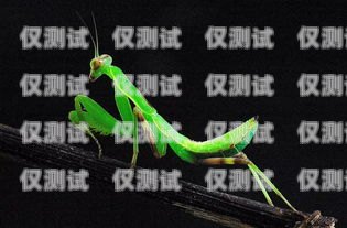 揭示螳螂外呼系統(tǒng)刷時(shí)常的秘密螳螂外呼系統(tǒng)價(jià)格