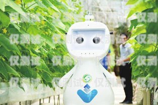 福建電話機器人效果，提升效率與客戶體驗的創新解決方案電話機器人官網