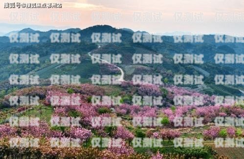 三清山電銷機器人價格解析三清山關機