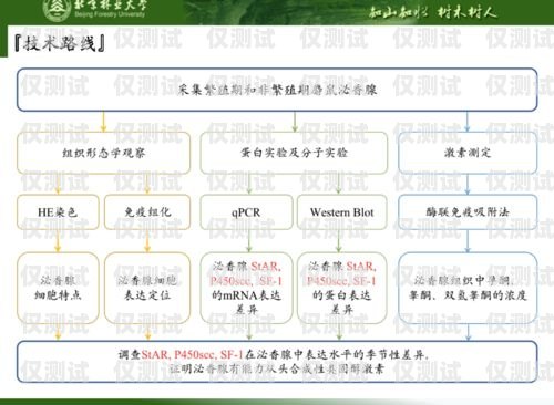 徐州外呼系統是否有效？探究外呼系統的優勢與挑戰徐州呼叫中心
