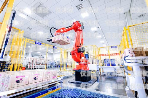 西雙版納電話機器人廠家，創新與發展的引領者西雙版納機電市場地址