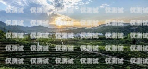 武夷山北緯電銷卡，探索中國茶產(chǎn)業(yè)的創(chuàng)新之路武夷山北緯電銷卡電話號碼