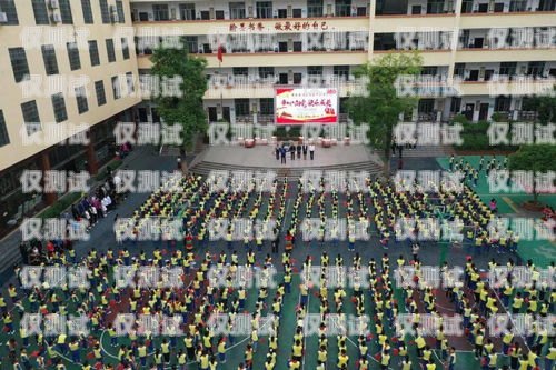 開封小型外呼系統公司，助力企業提升銷售與服務的創新力量開封呼叫中心最新招聘信息