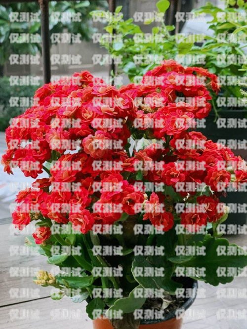 電銷卡不能開網嗎？電銷卡能上網嗎