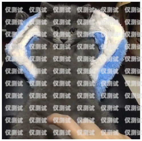 揭秘無錫藍貓電銷卡——合法合規(guī)的電銷神器無錫藍貓電銷卡怎么辦理