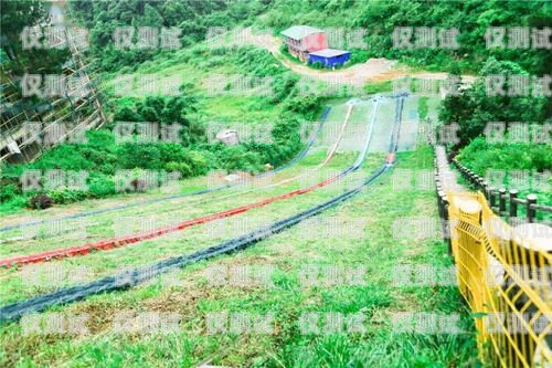 嘉興電話機器人哪家好？比較與選擇指南嘉興 機器人