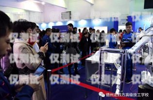 德州市電話機(jī)器人公司，創(chuàng)新與發(fā)展的引領(lǐng)者德州市電話機(jī)器人公司有哪些