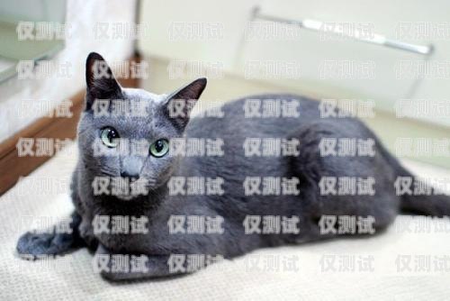 藍(lán)貓電銷卡激活要錢嗎？多少錢？藍(lán)貓電銷卡激活要錢嗎多少錢一張