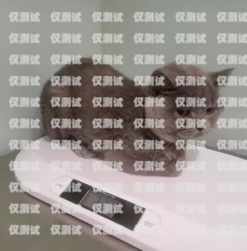 藍貓電銷卡激活要錢嗎？藍貓電銷卡激活要錢嗎安全嗎