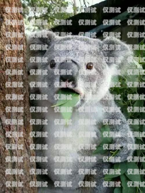 考拉外呼系統(tǒng)基本情況考拉在線外呼系統(tǒng)