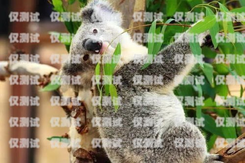 考拉外呼系統(tǒng)基本情況考拉在線外呼系統(tǒng)