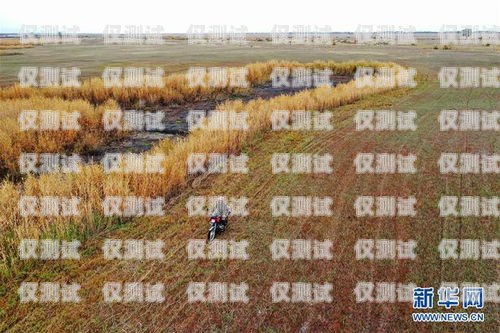 阿勒泰外呼系統型號推薦阿勒泰 6635